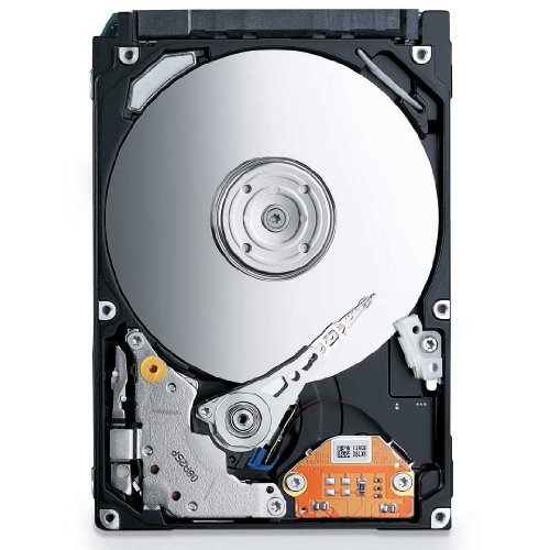 Festplatten mit 1000 GB Speicher