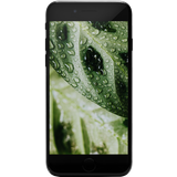 iPhone SE (2020) 64GB Schwarz Premium Refurbished